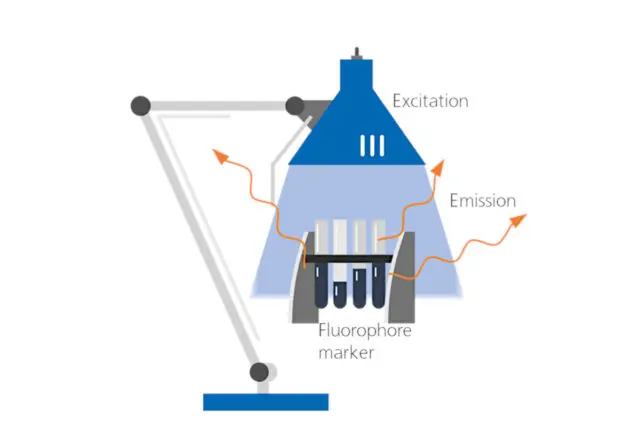 fluorescence